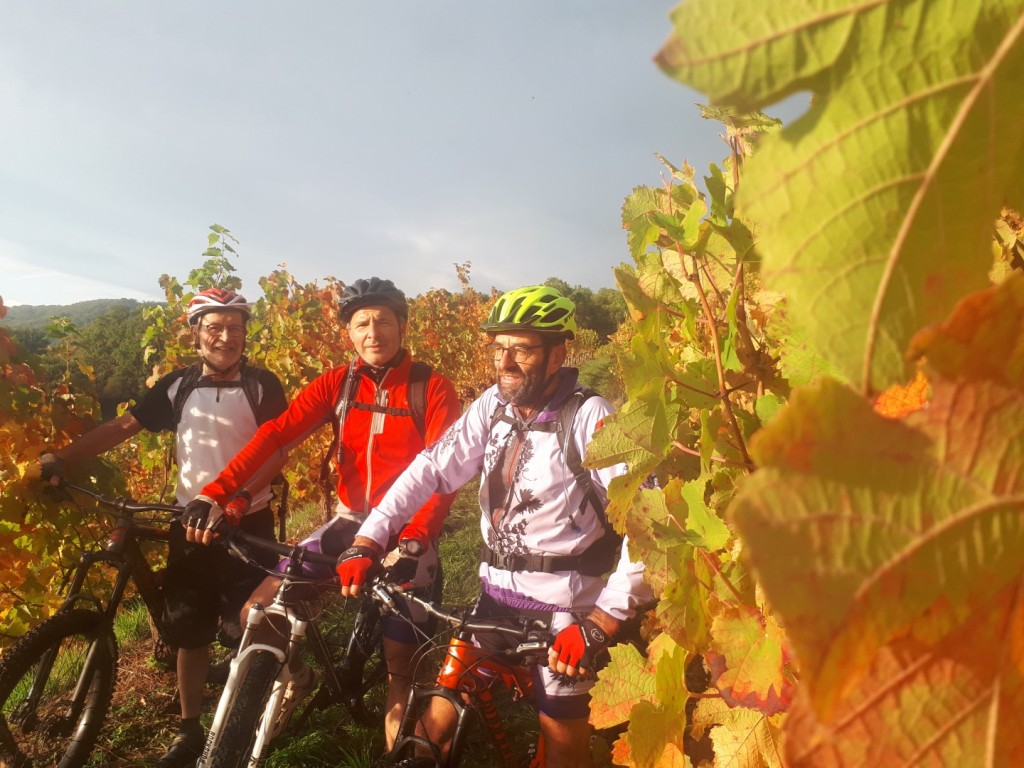 20191019_092958(0) (Large)