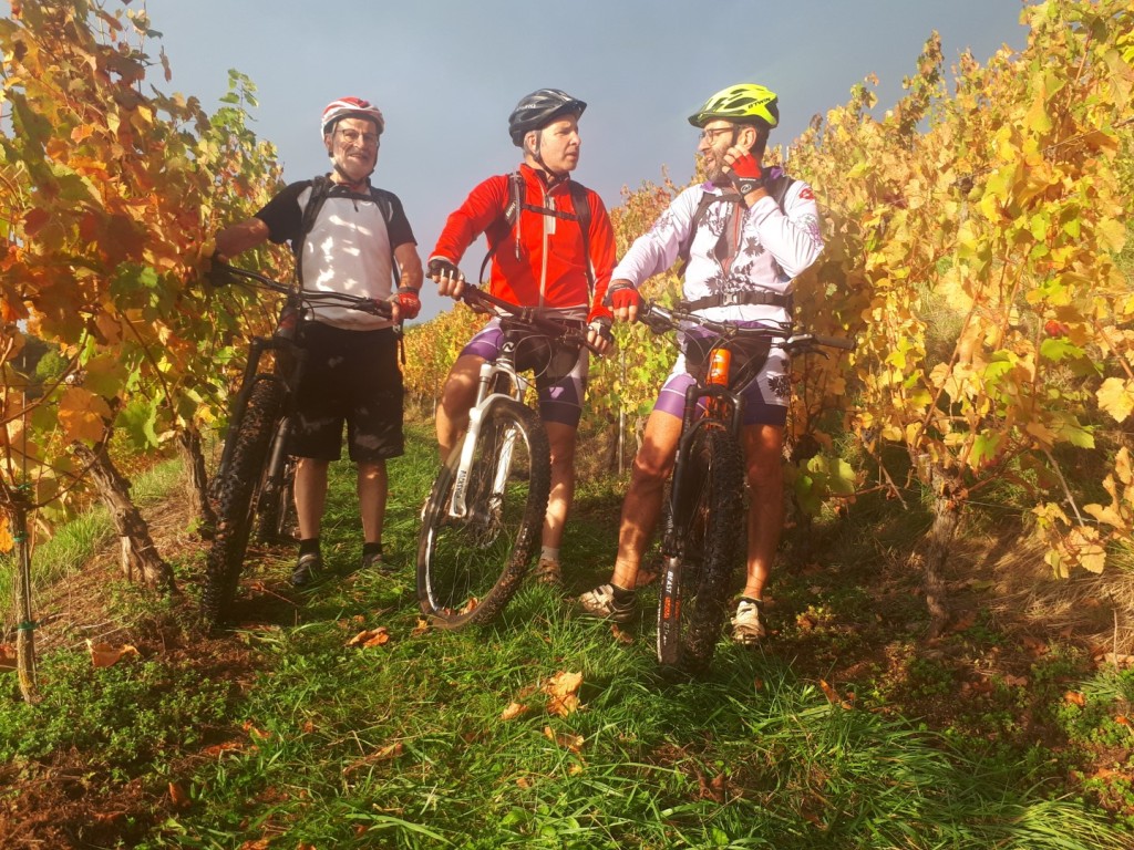 20191019_093010 (Large)