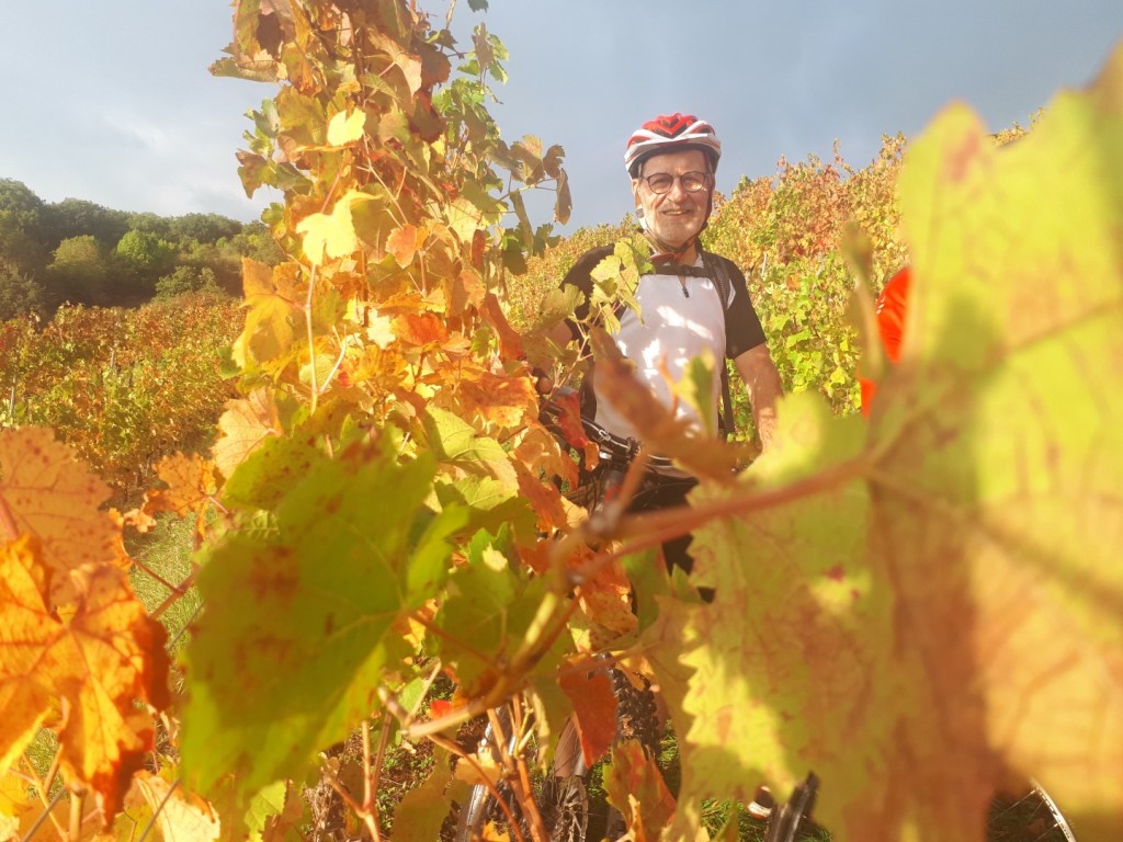 20191019_093023 (Large)