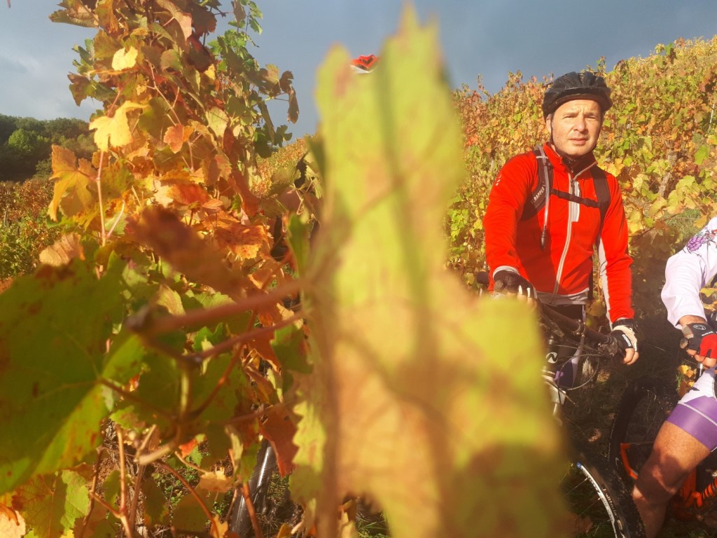 20191019_093030 (Large)