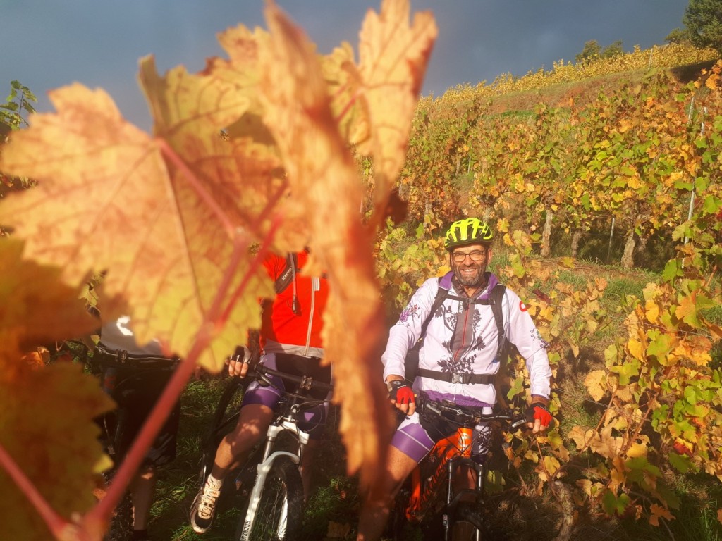 20191019_093044 (Large)