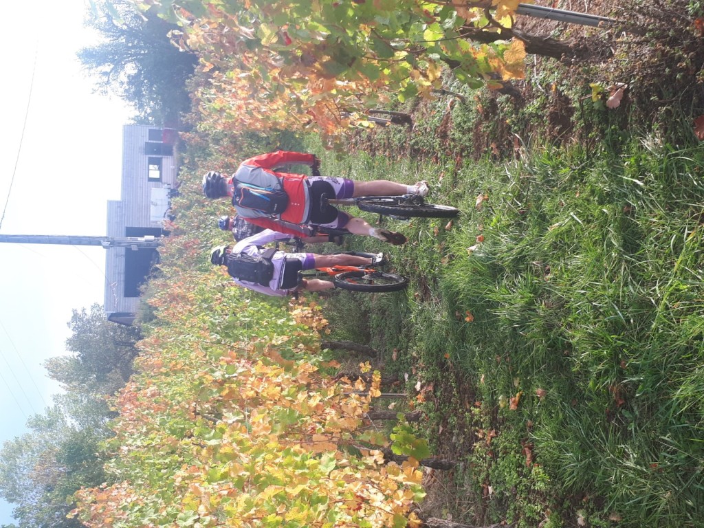 20191019_093158 (Large)