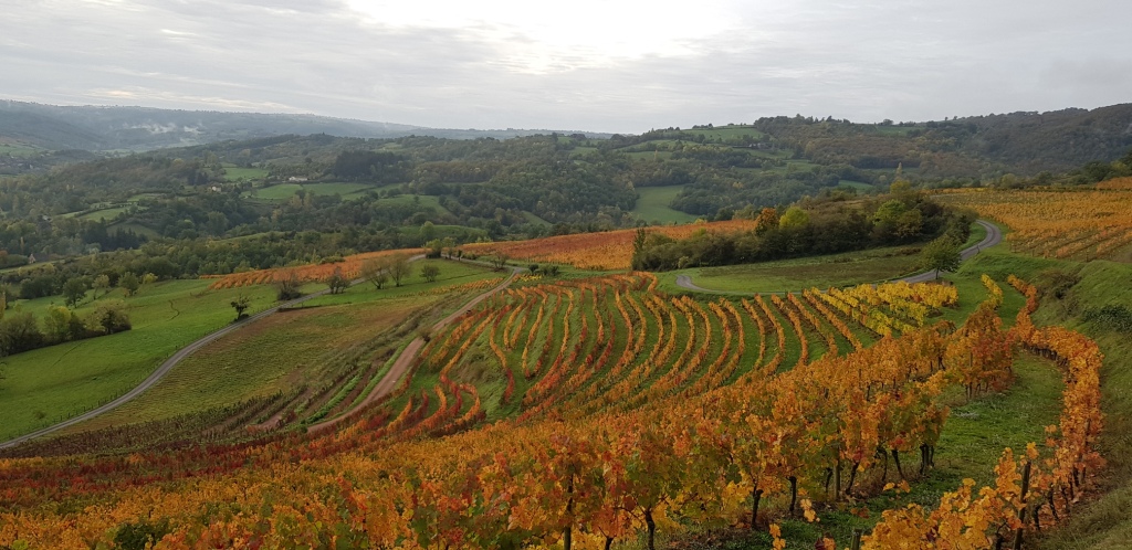 20191101_092232 - Copie - Copie - Copie