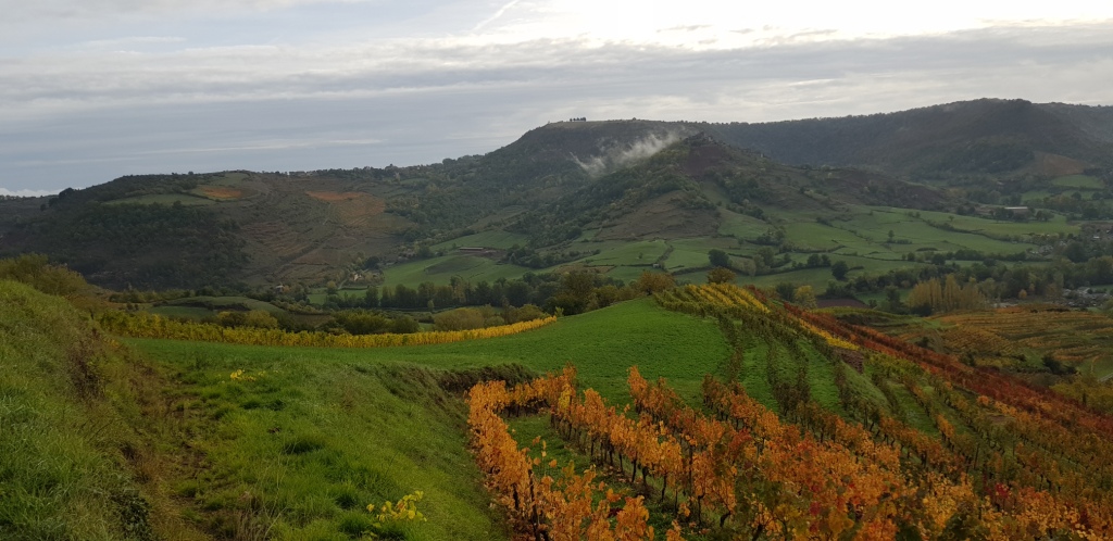 20191101_092313 - Copie - Copie - Copie