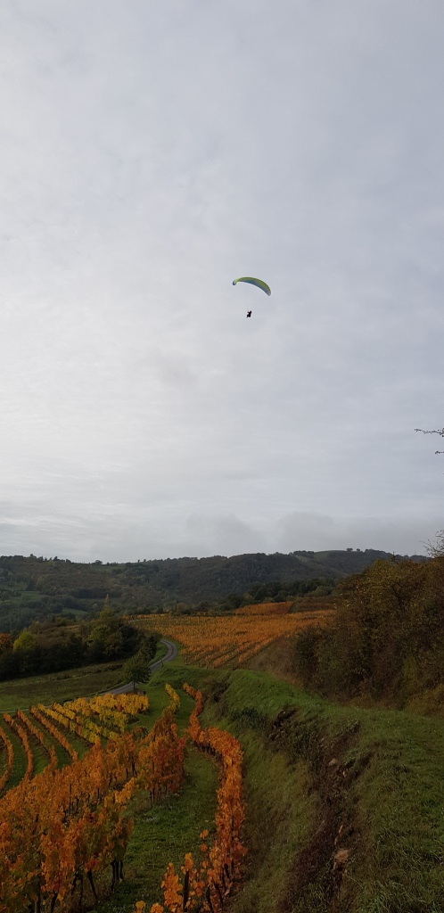 20191101_092318 - Copie - Copie - Copie