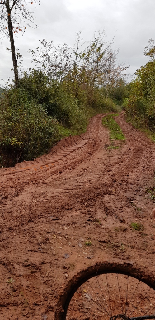 20191101_103751 - Copie - Copie