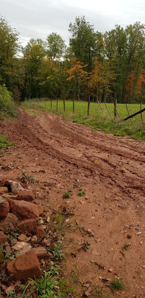 20191101_103753 - Copie - Copie