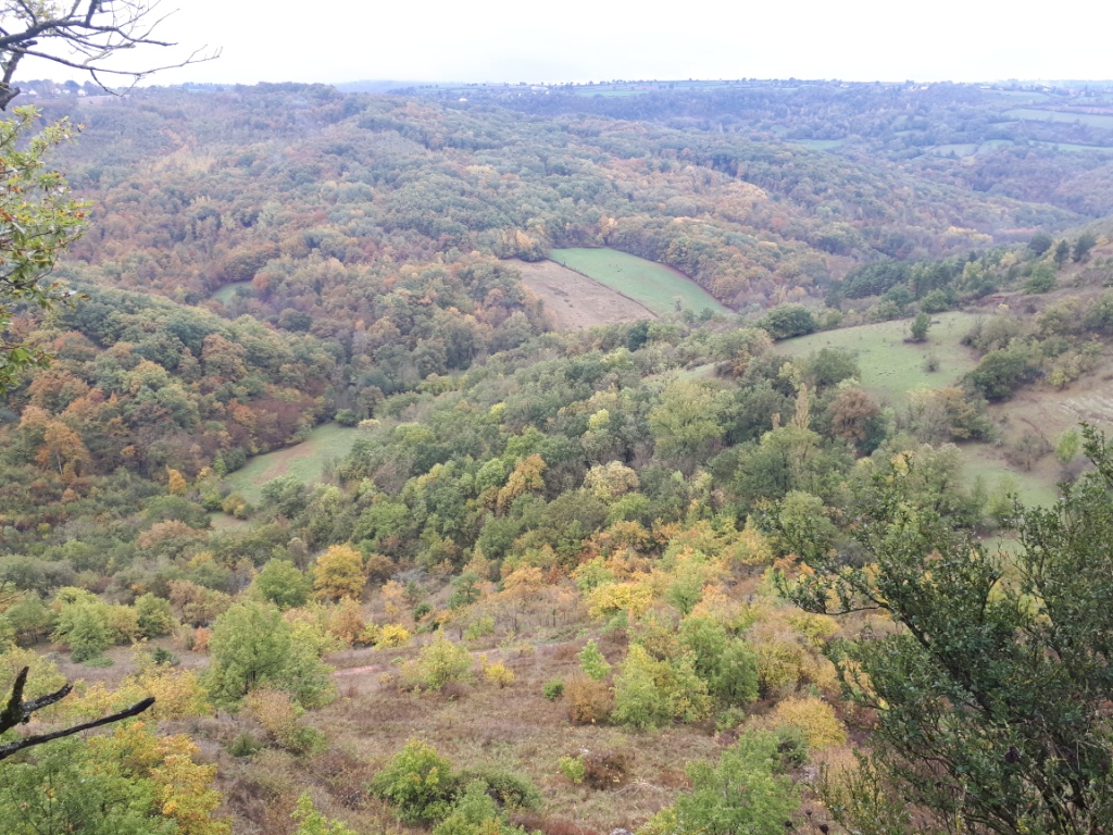 20191109_100702 - Copie - Copie