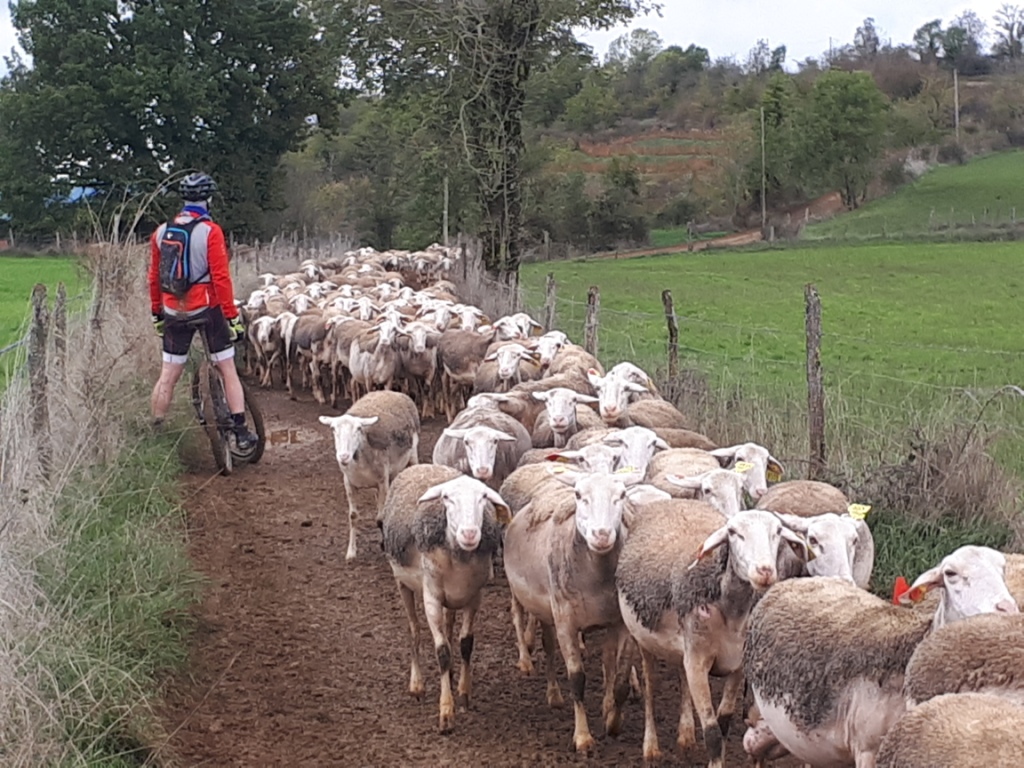 20191109_120125 - Copie - Copie