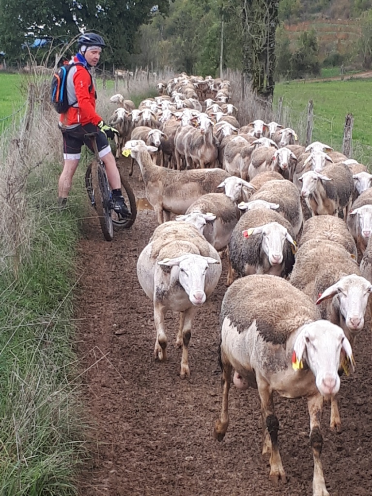 20191109_120221 - Copie - Copie