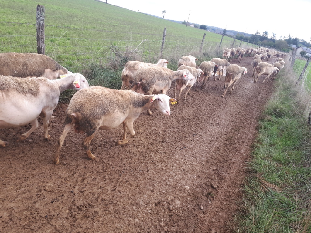 20191109_120331 - Copie - Copie