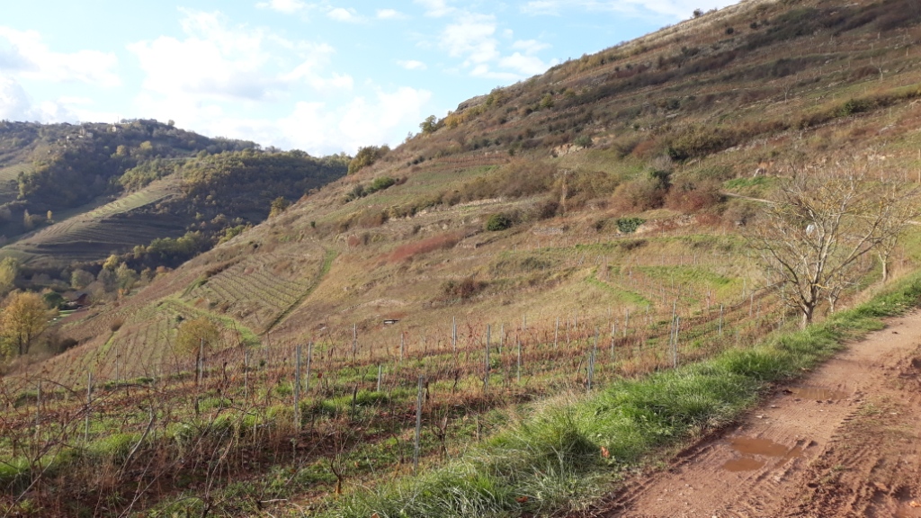 20191121_152031 - Copie - Copie