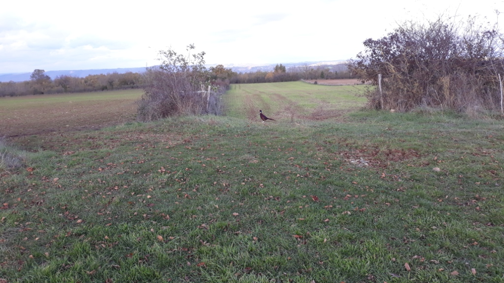 20191121_155340 - Copie - Copie