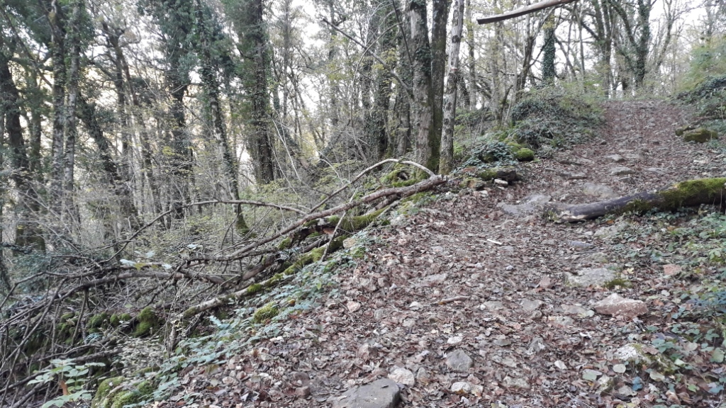 20191121_161701 - Copie - Copie