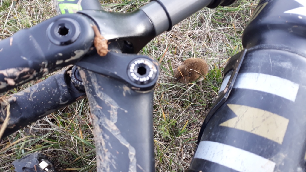 20191122_140333 - Copie - Copie