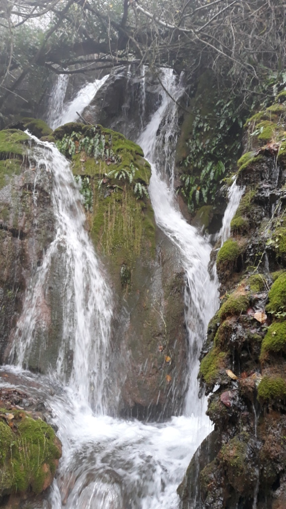 20191201_084642 - Copie