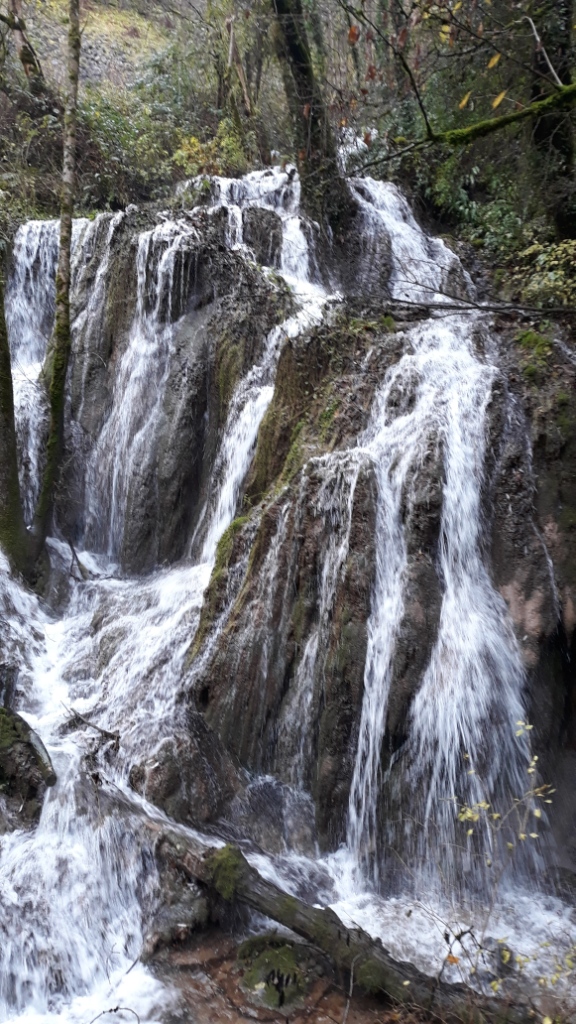 20191201_093954 - Copie