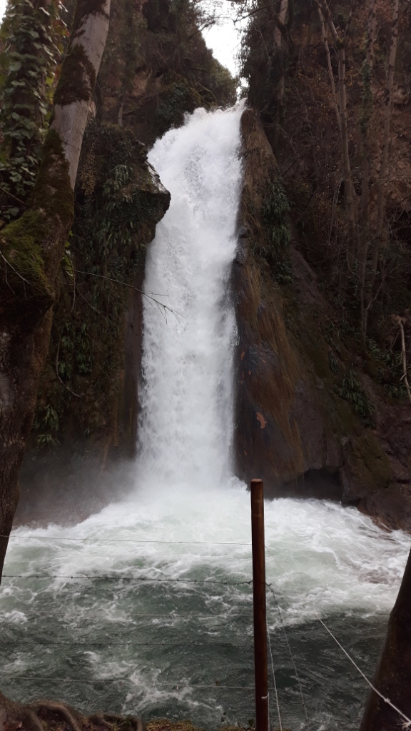 20191201_100232 - Copie