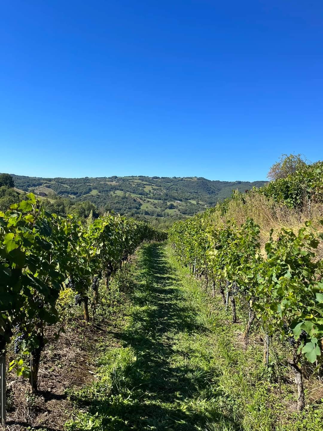 Fb img 1726593816950