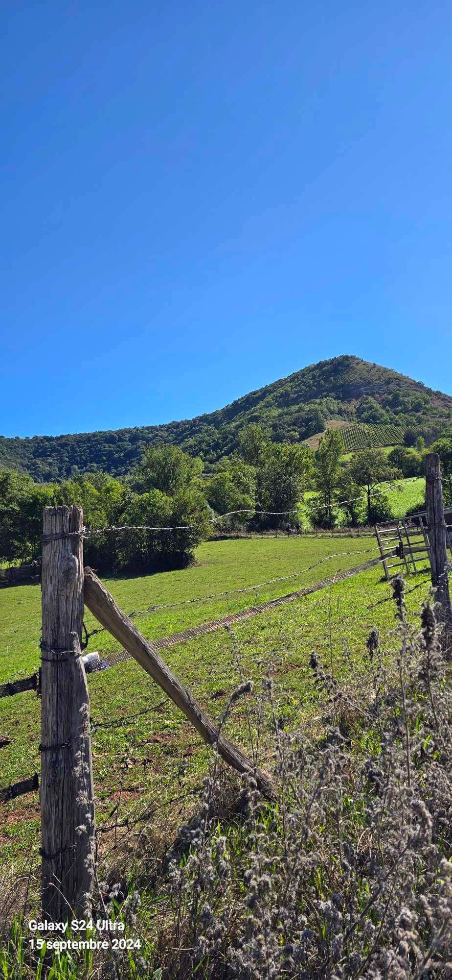 Fb img 1726594069729