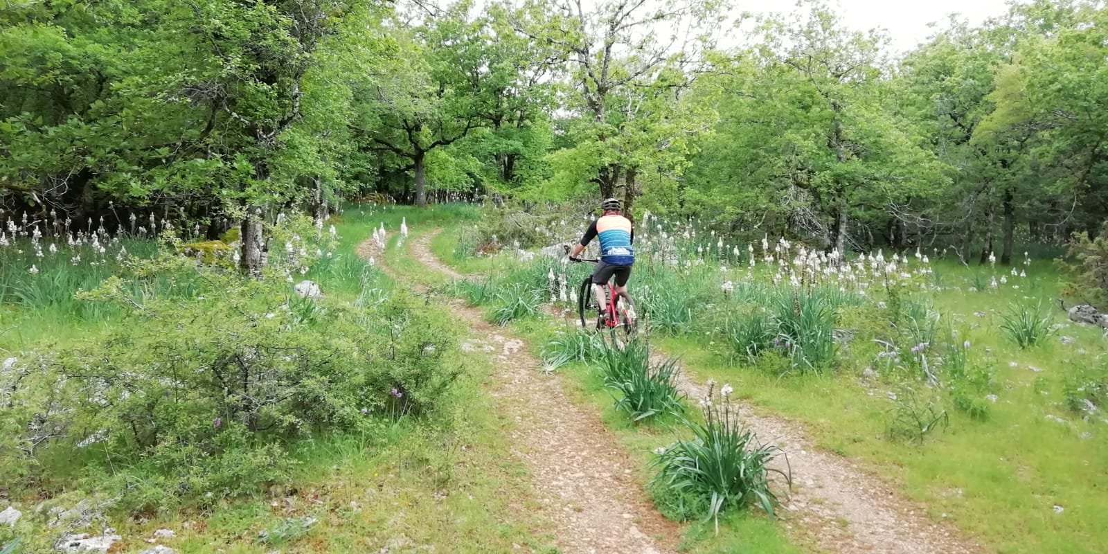 Rando VTT Roc Quercynois (7)