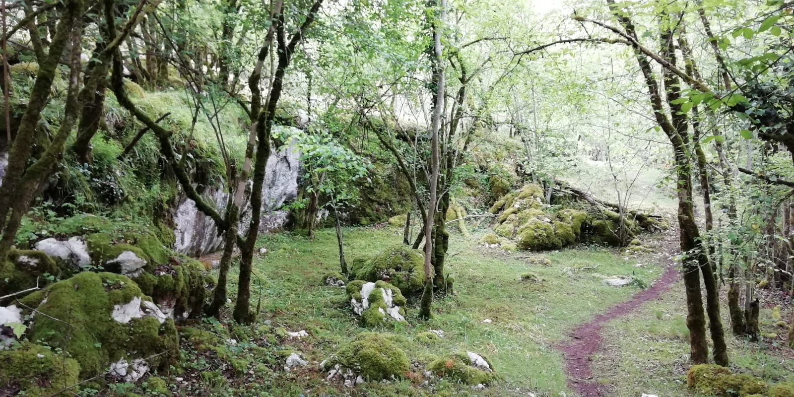 Rando VTT Roc Quercynois (8)