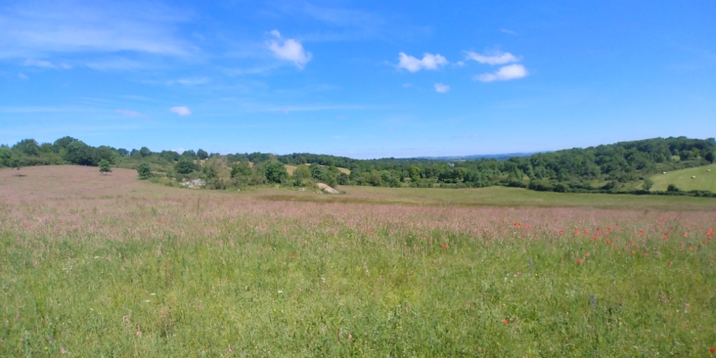 Rando VTT Sebazac (2)