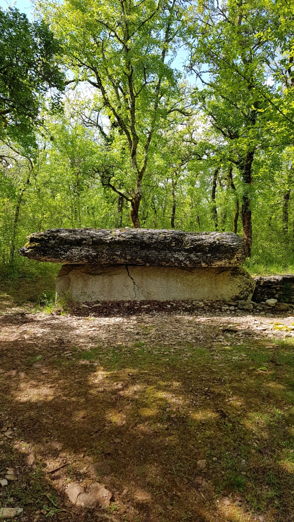 Rando VTT Toulonjac (10)