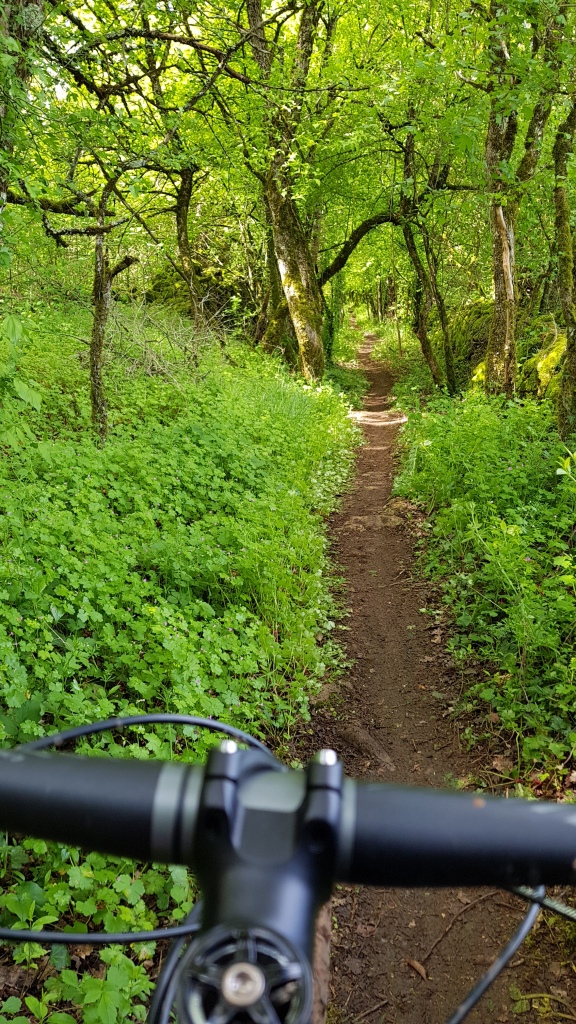 Rando VTT Toulonjac (12)