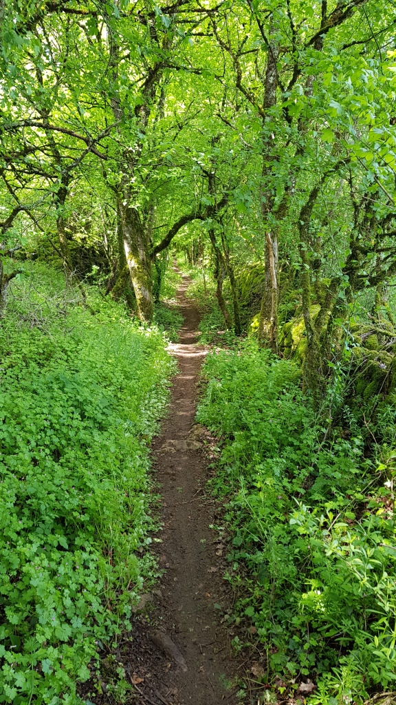 Rando VTT Toulonjac (13)