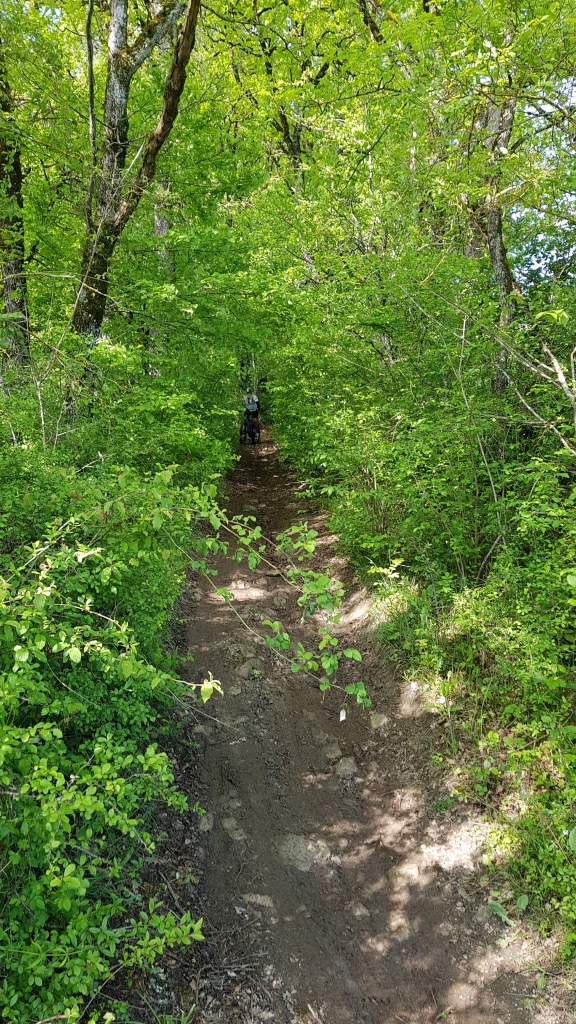 Rando VTT Toulonjac (4)