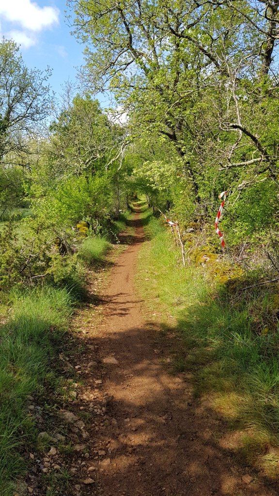 Rando VTT Toulonjac (9)