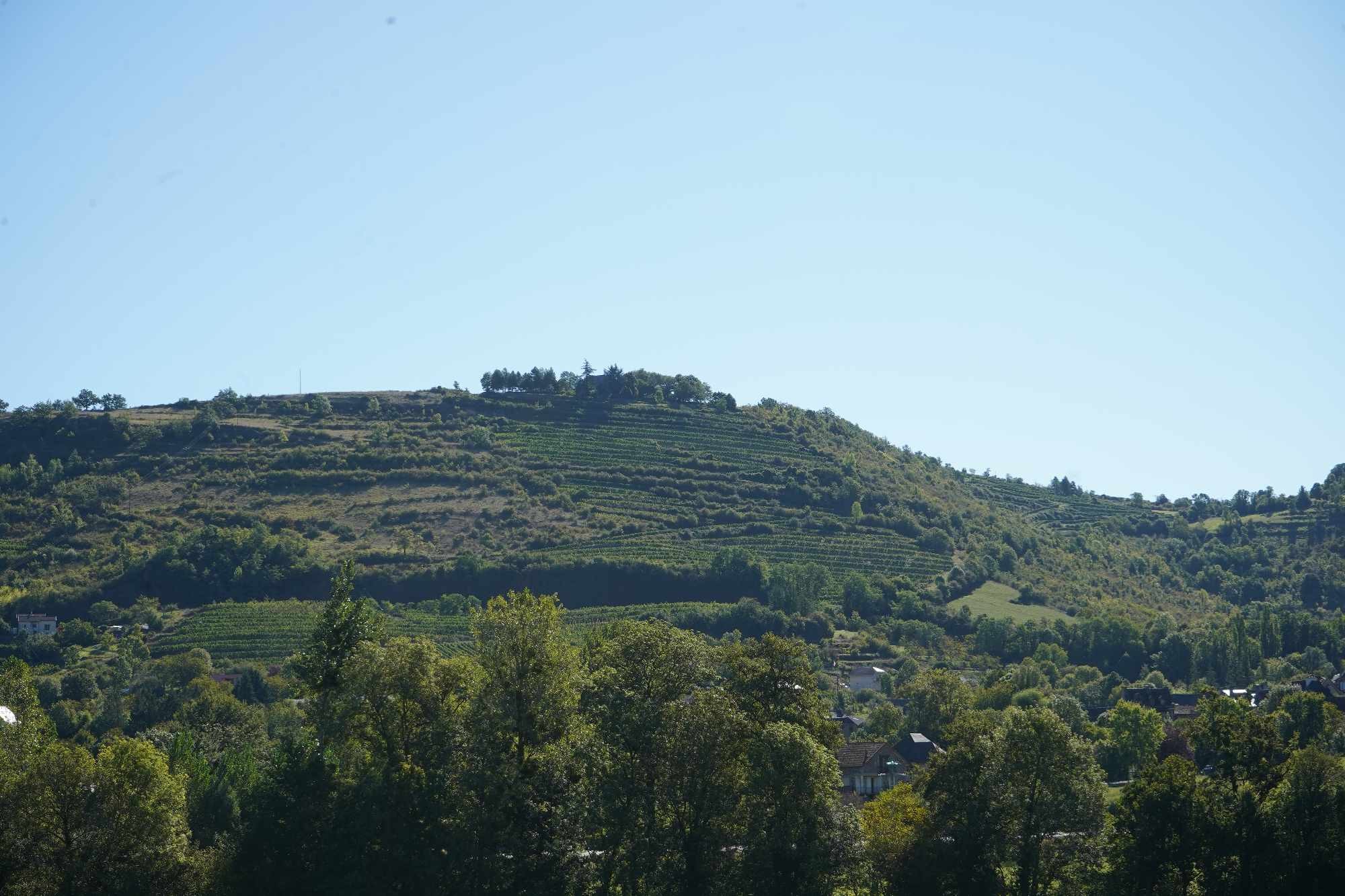 Received 1021927609714606