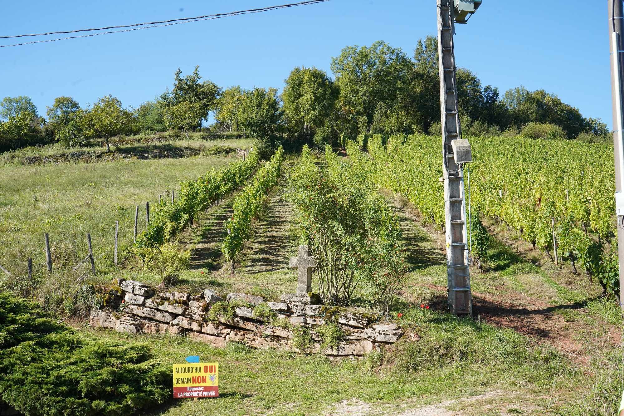 Received 1063381205131684