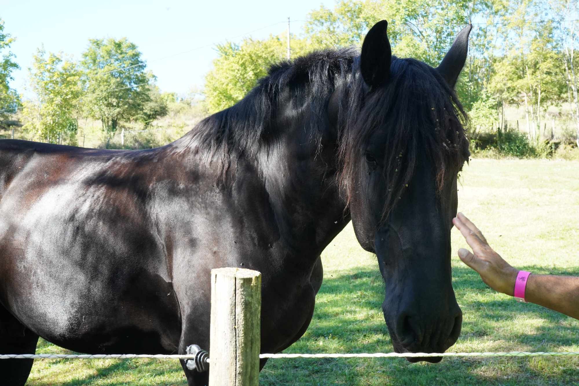 Received 1081974240316960