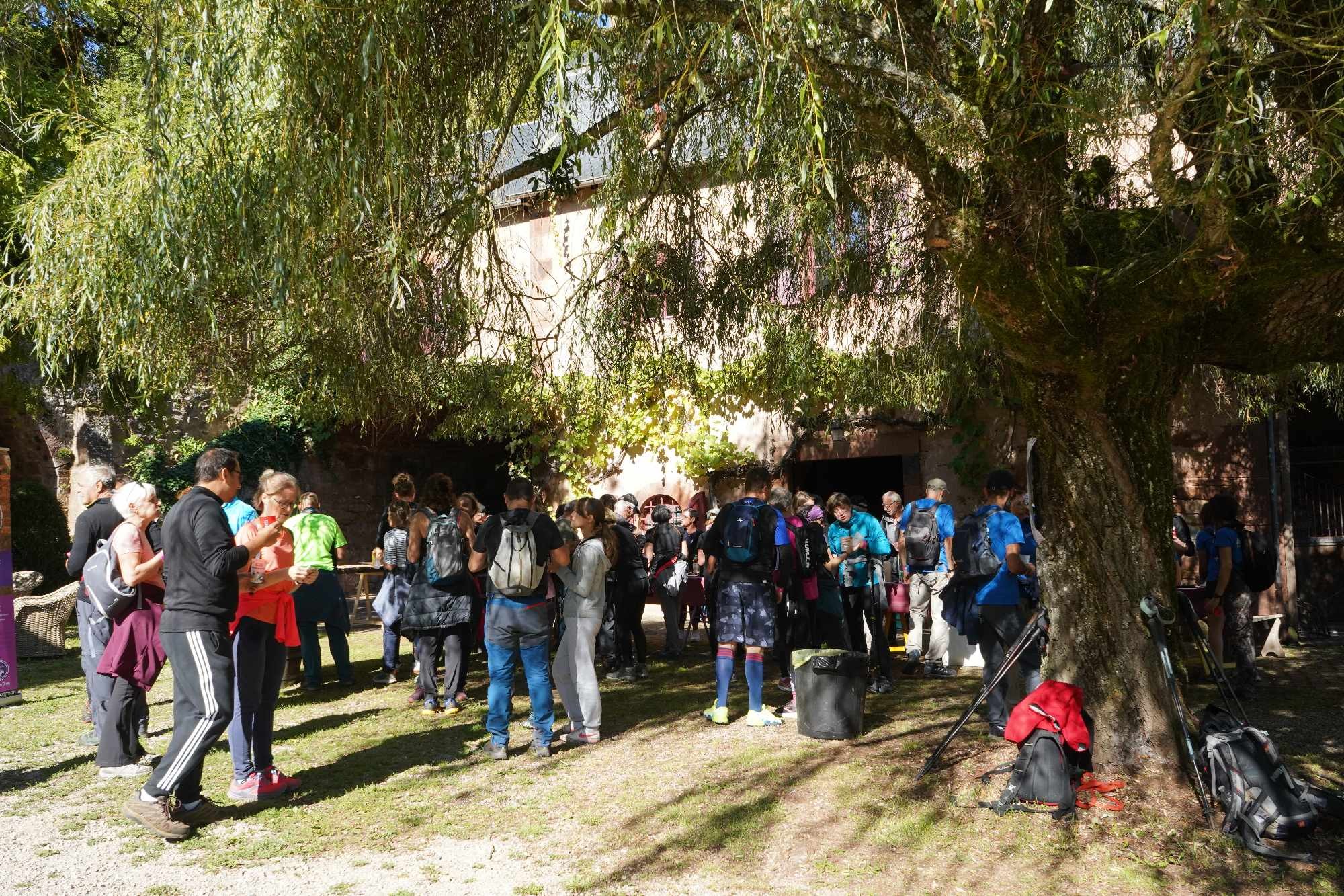 Received 1169044230843849