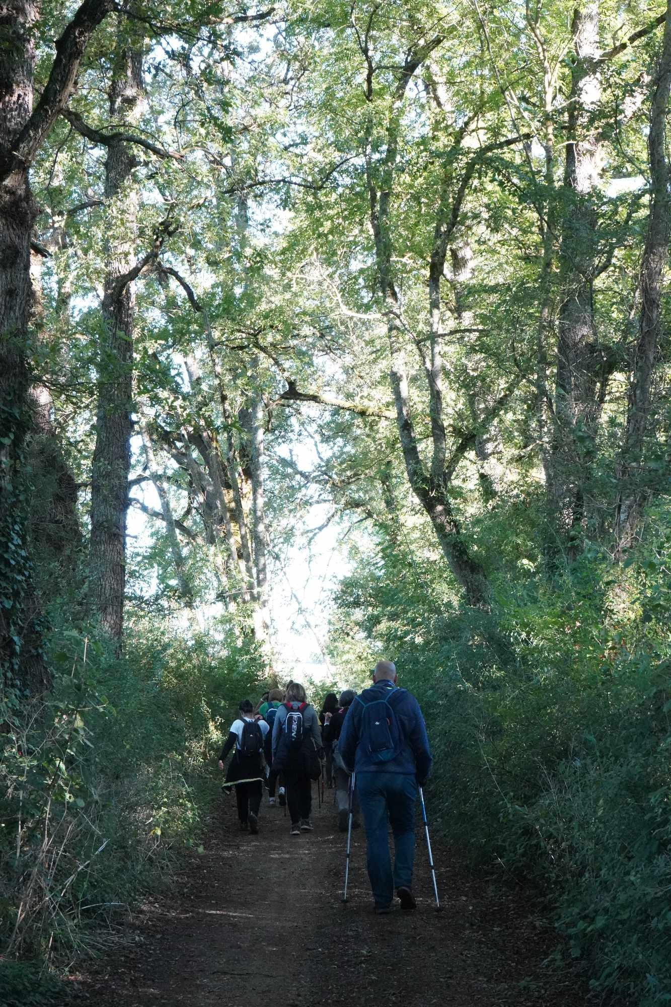 Received 1246673766504696