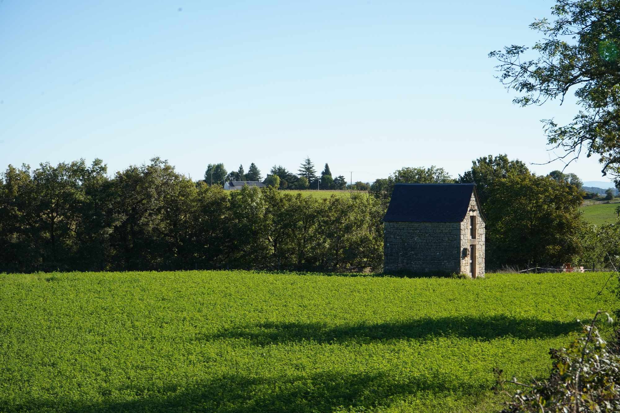 Received 1270592417441870