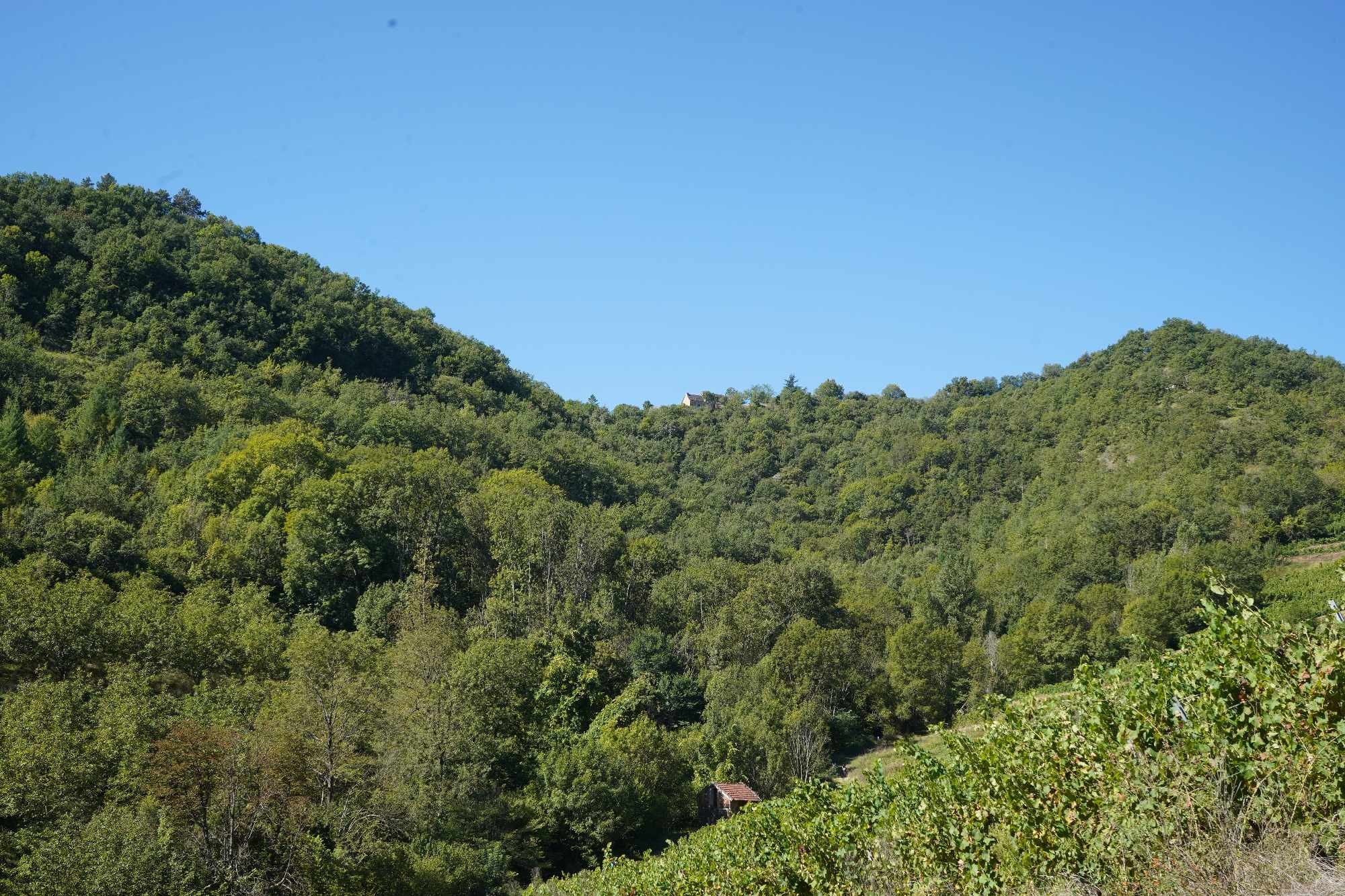 Received 1585222112093650