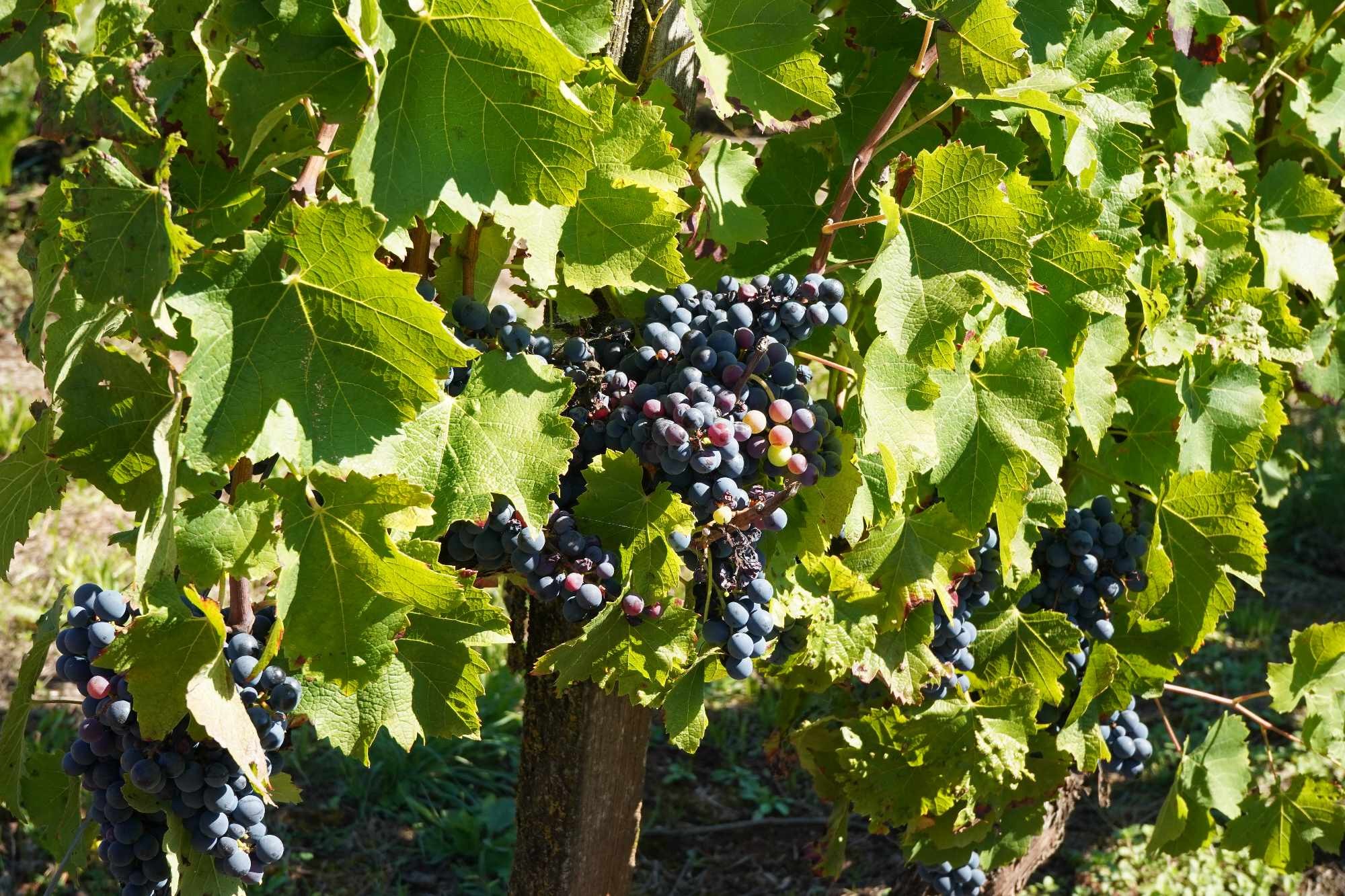 Received 1697698970997575