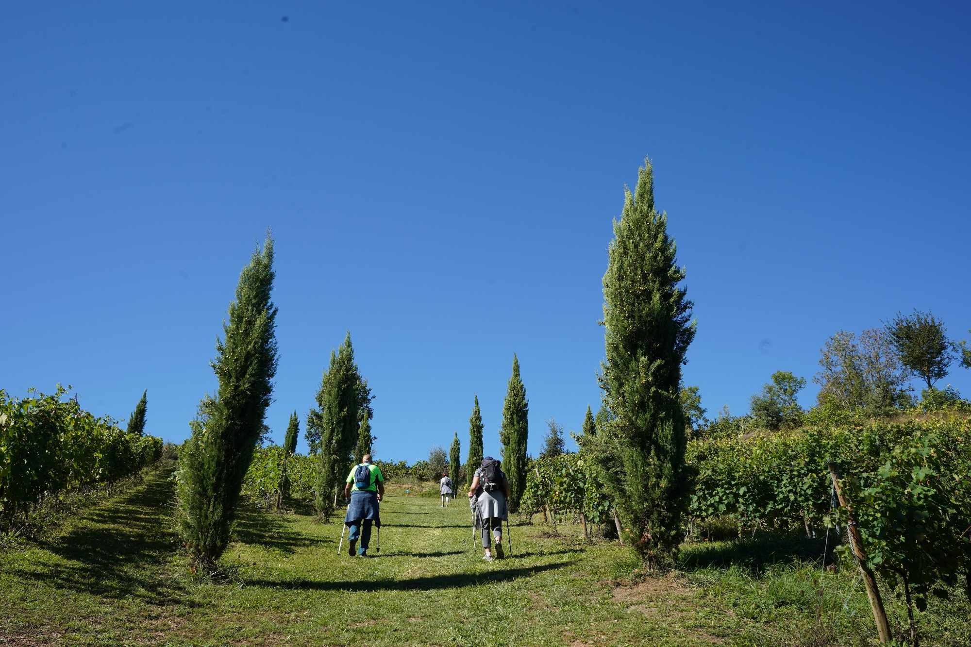 Received 1714988092579841