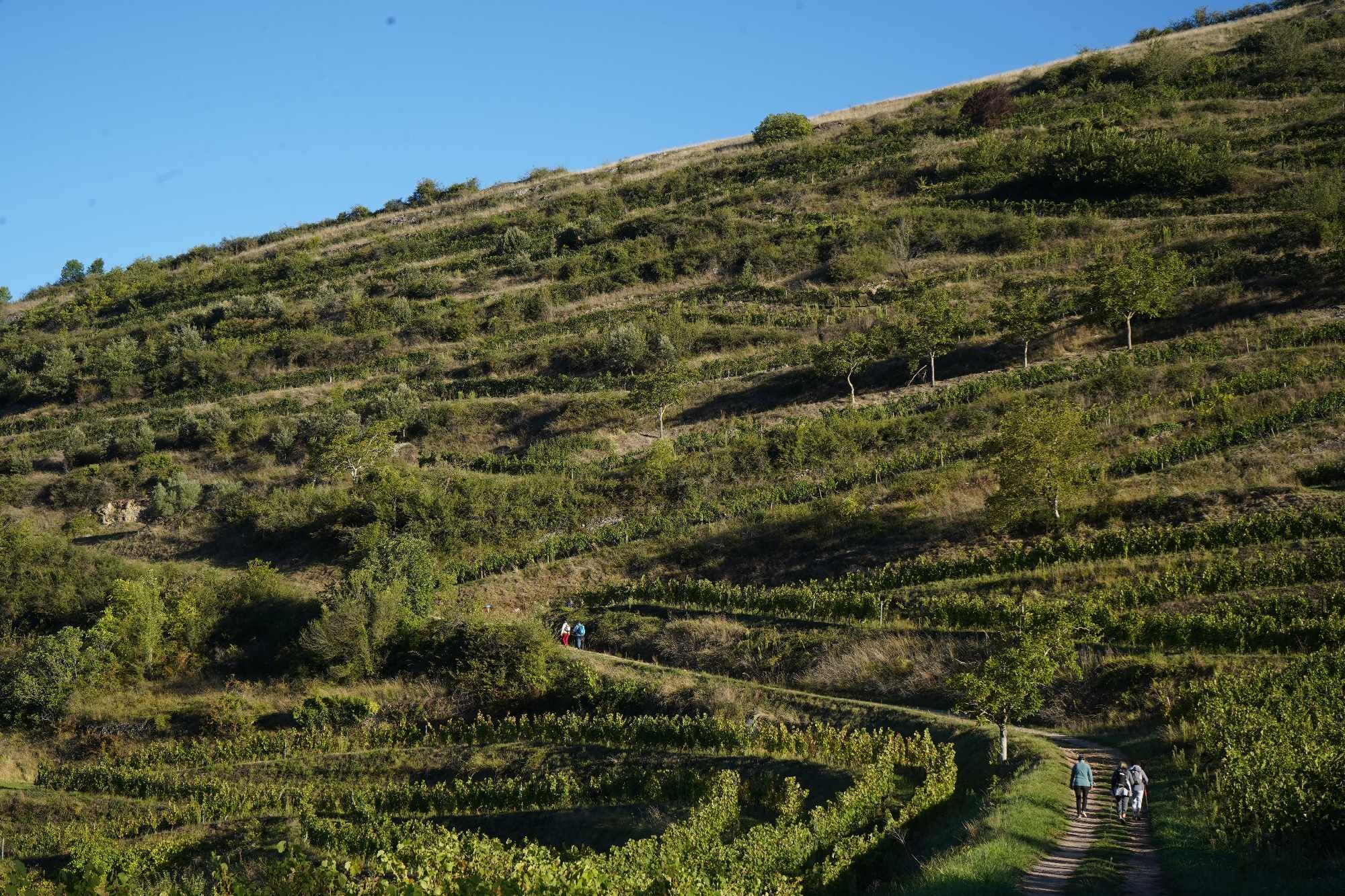 Received 1952059055248027