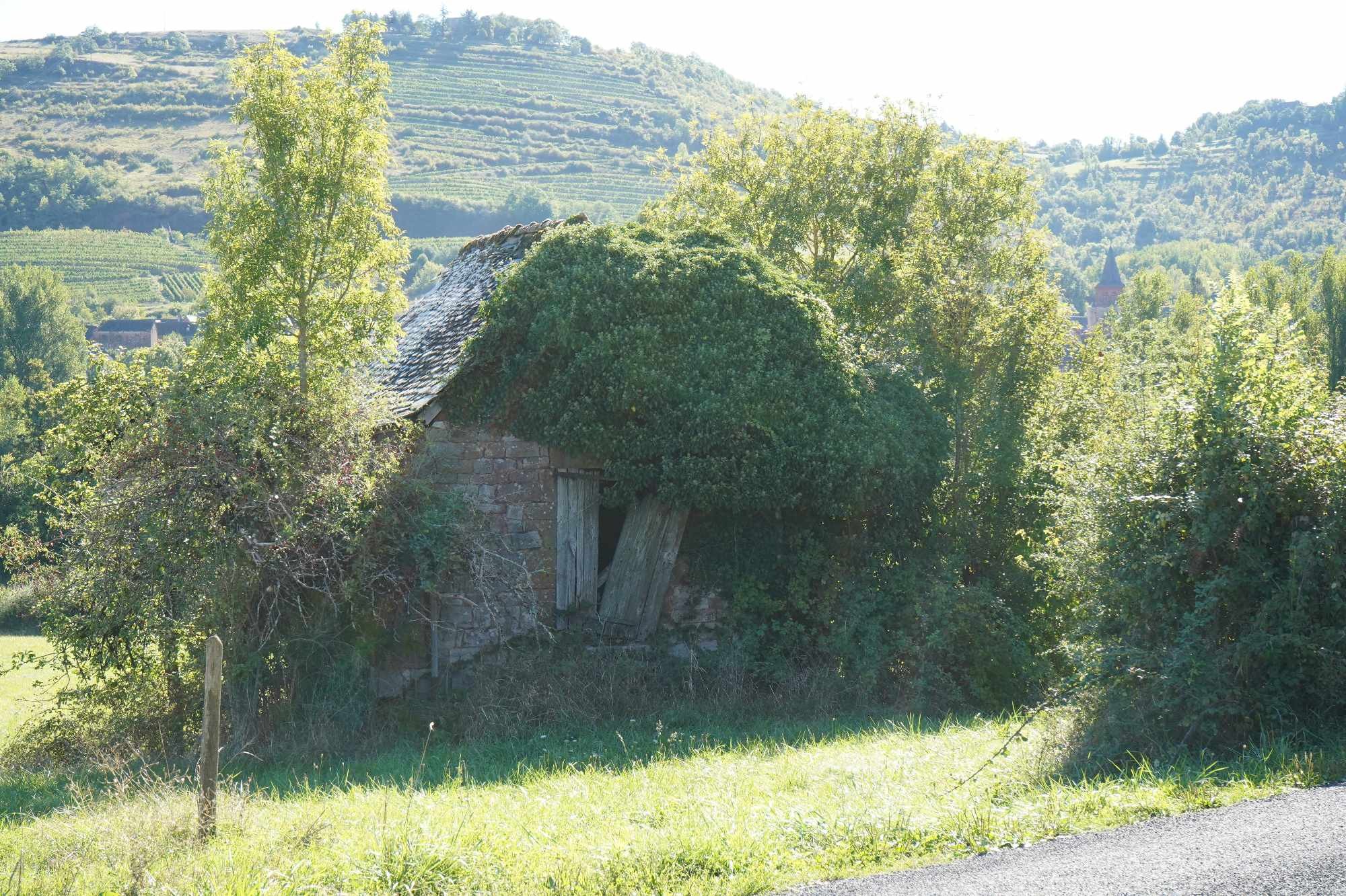 Received 1960671287711191