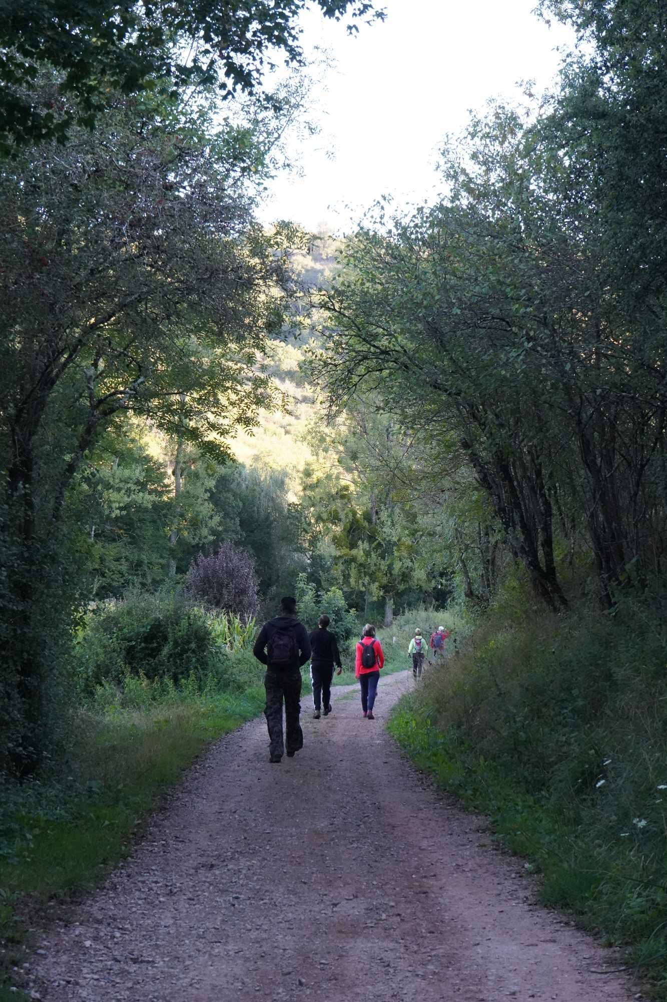 Received 1979042432613072