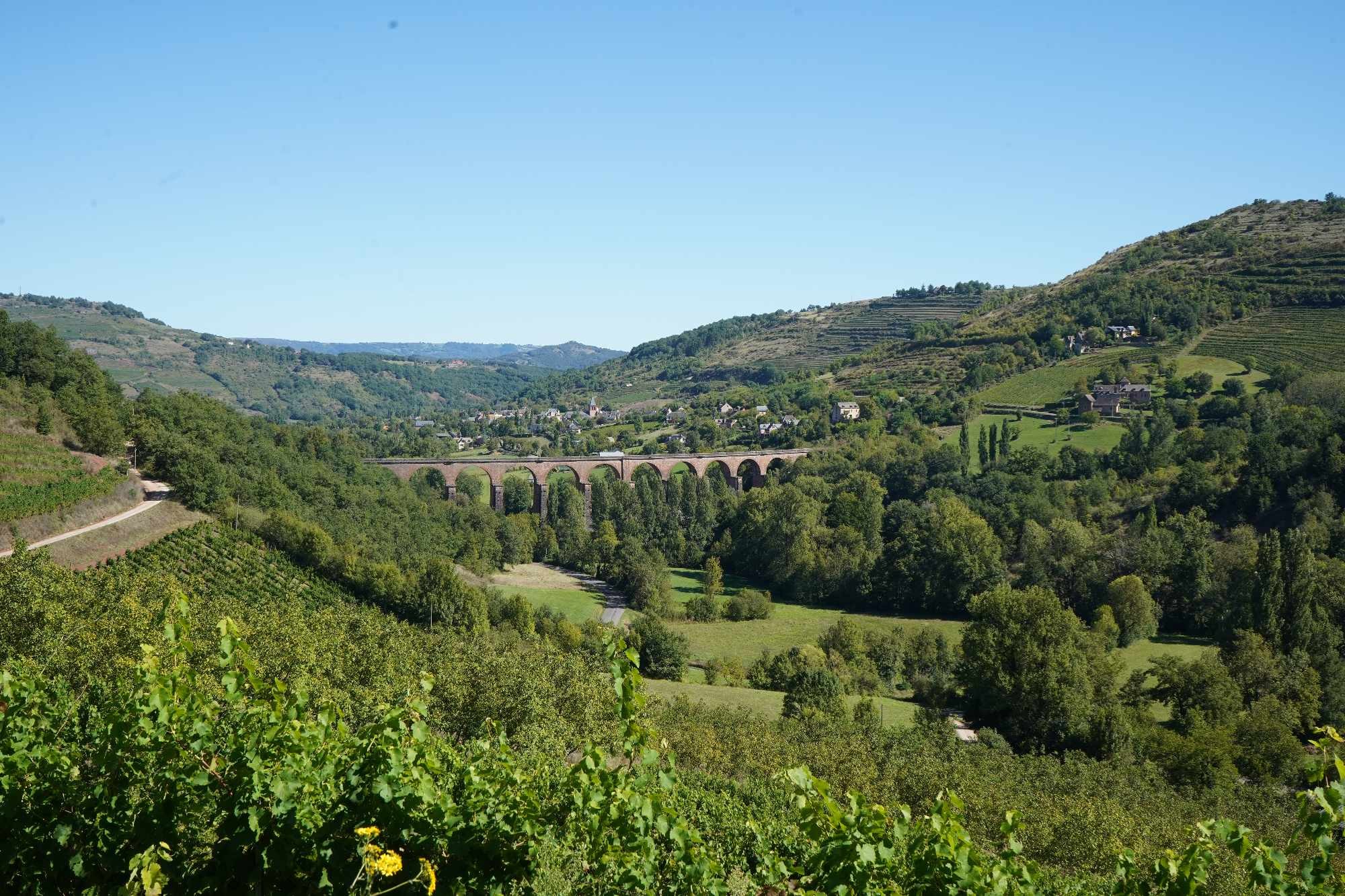 Received 2004418643343582