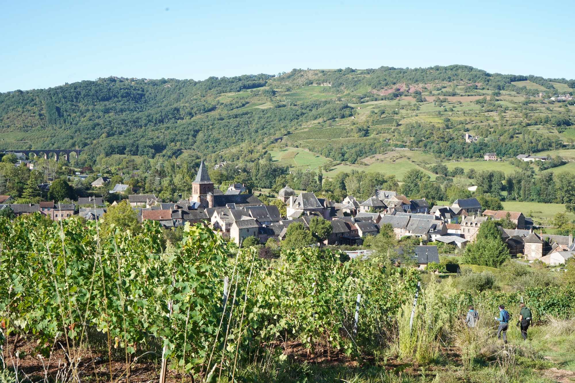 Received 2951544154998486