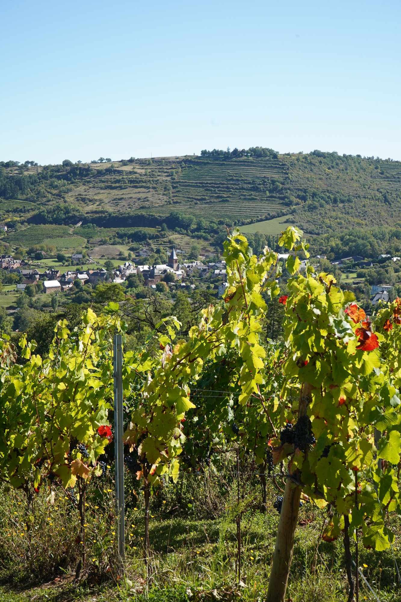 Received 329050590232453