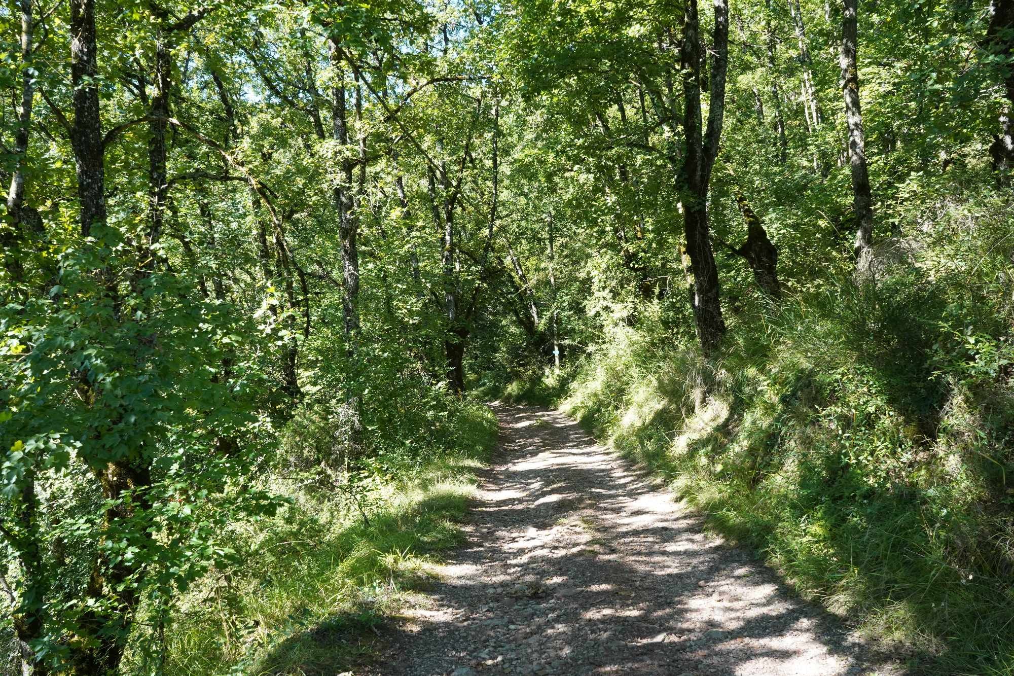 Received 3796531850602297