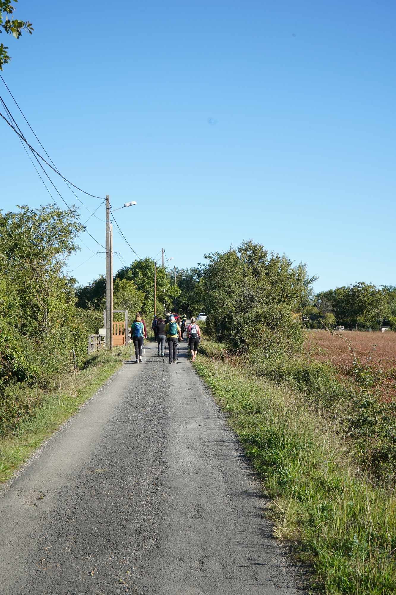 Received 3857069861215147