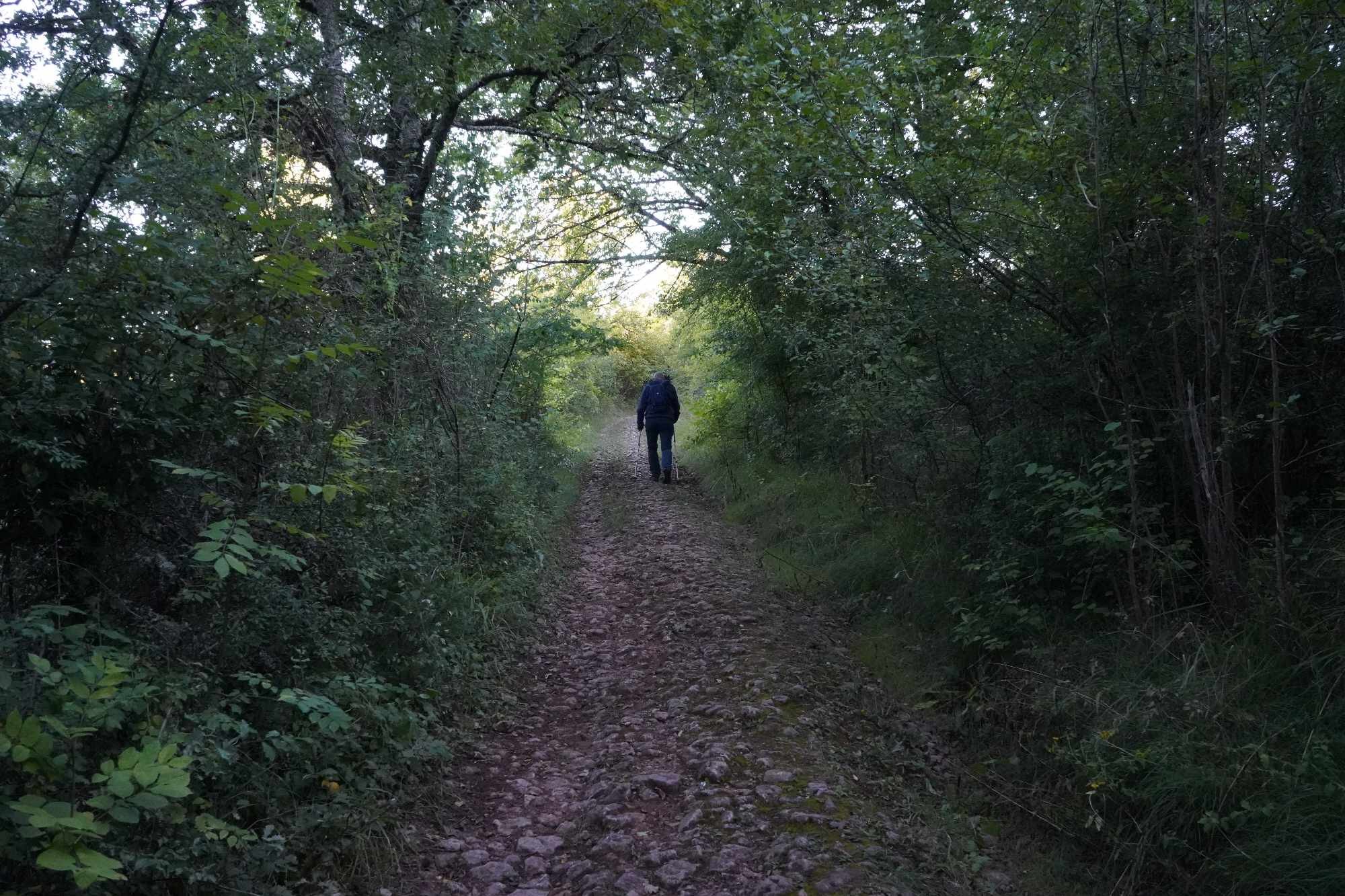 Received 389975990616864